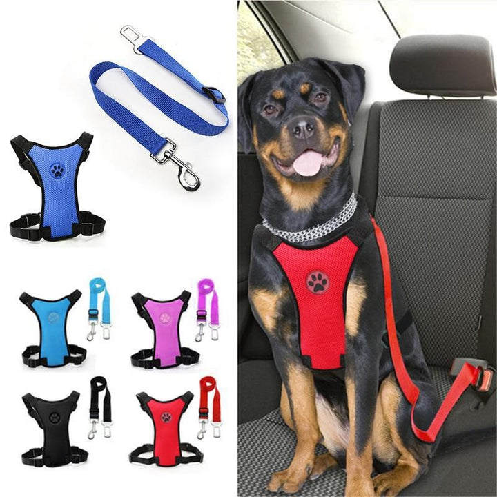 BowLift | Dog Safety Harness Set