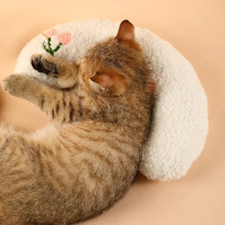BowLift | Cat Beautiful cozy pillow