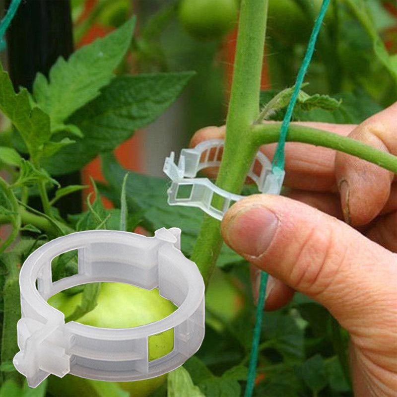 Practical Plant Support Clip | Bowlift