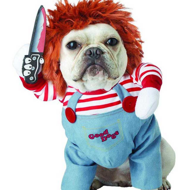 Chucky Pet Halloween Costume – Enhance Your Pet’s Playful Personality Bowlift
