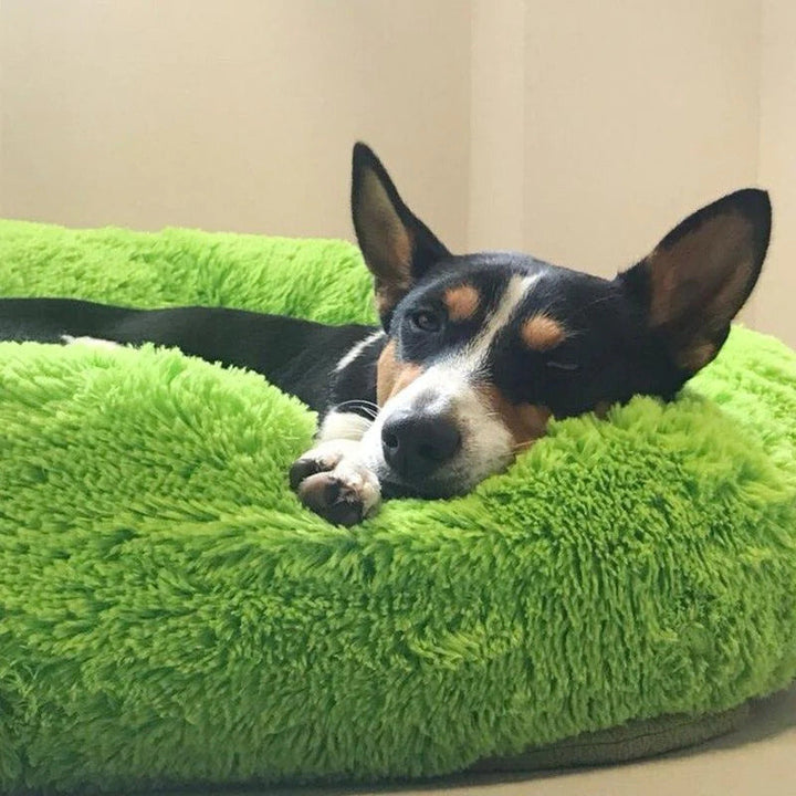 BowLift | Long Plush Donut Pet Bed with Washable Cover and Non-Slip Base