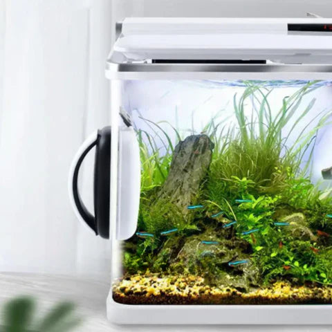BowLift | Magnetic Aquarium Glass Cleaner | Easy-Grip Design & Corner-Savvy Blades for Crystal-Clear Views and Algae-Free Habitats