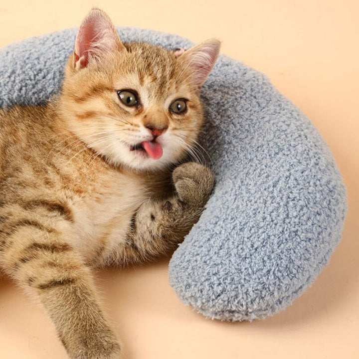 Cat Lovely Comfortable Cushion Bowlift