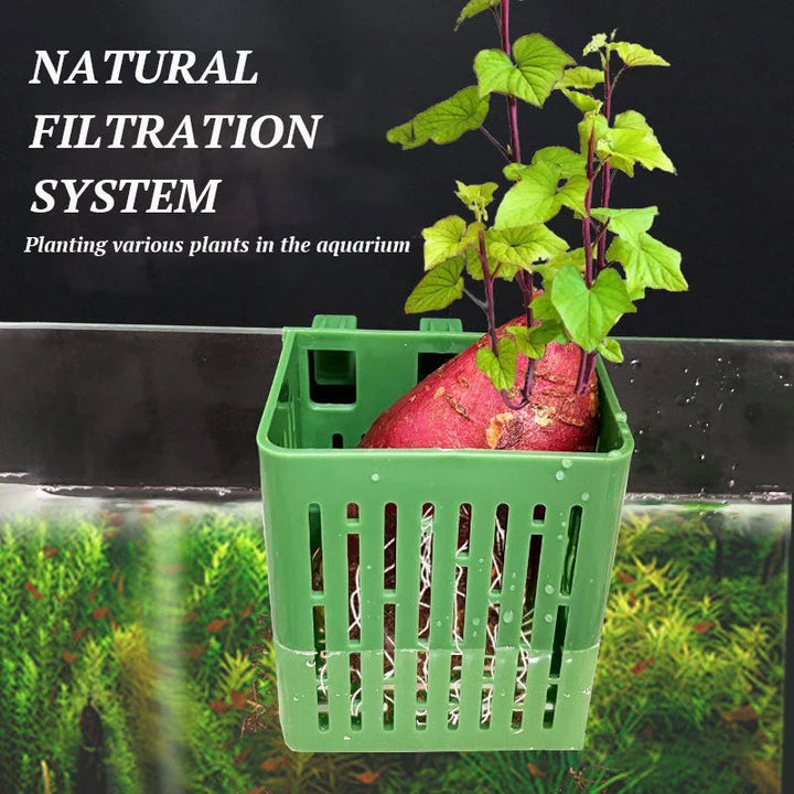 BowLift | Fish Tank Hydroponic Planting Basket