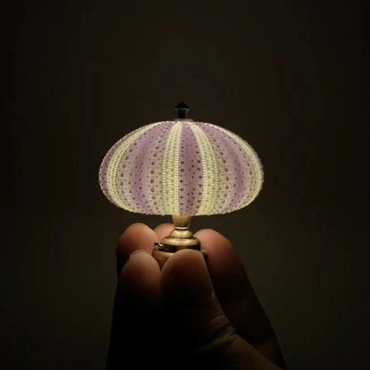 BowLift | DIY Sea Urchin Night Light