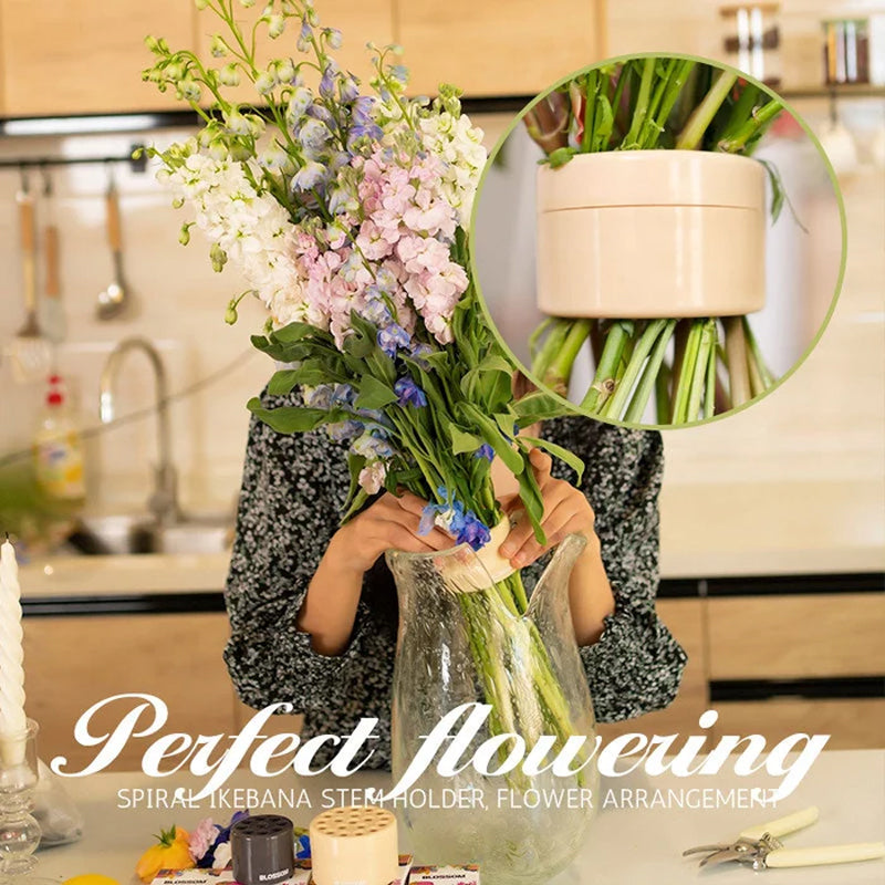Spiral Ikebana Stem Holder | Bowlift