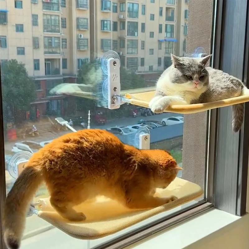 BowLift | Foldable Cat Window Bed