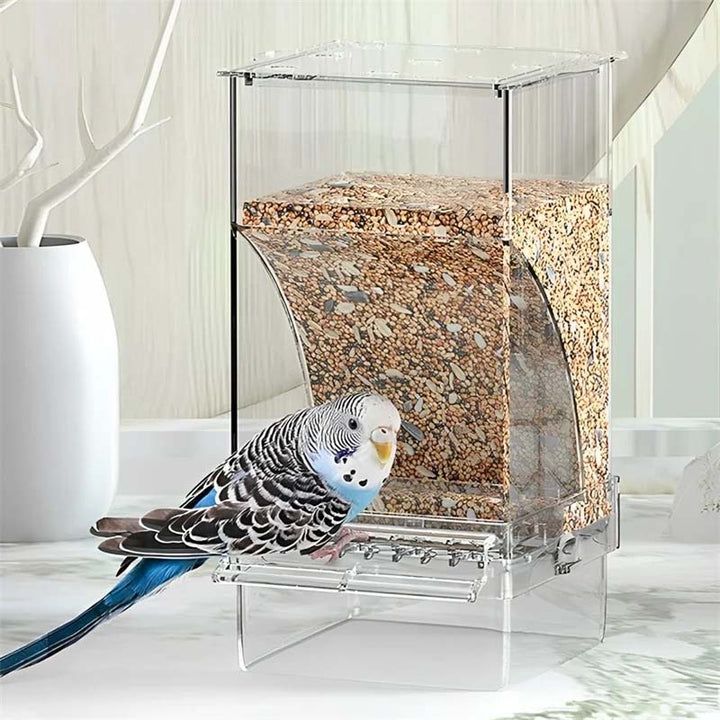 Automatic overflow protection Transparent bird feeder | Bowlift