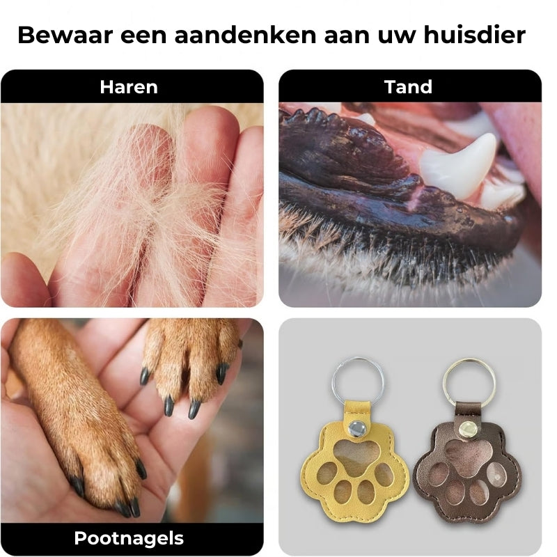 PawMemorie Keychain – Memorial Pendant with Paw Print and Inner Compartment | Bowlift