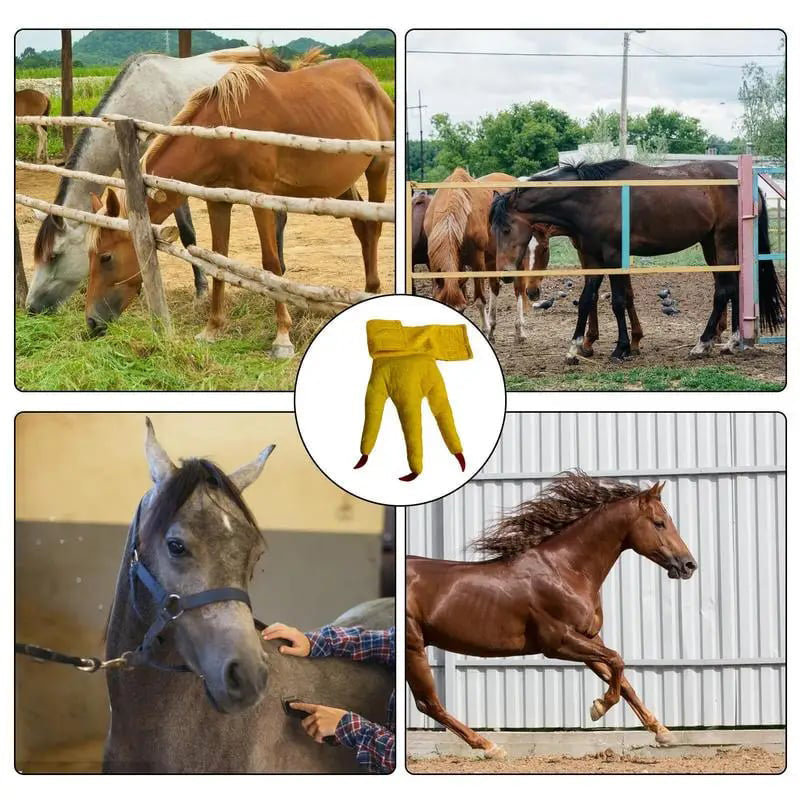 BowLift | Funny Feet For Horse