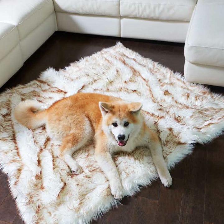 BowLift | FURGUARD - Waterproof Pet Blanket