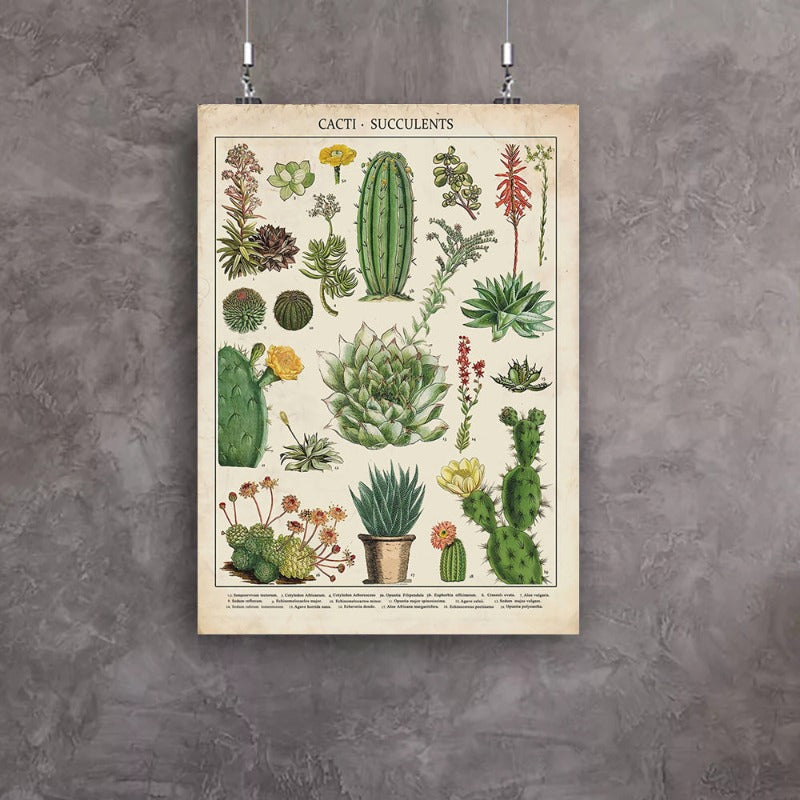 Cacti Plants - Canvas Wall Art Painting | Bowlift