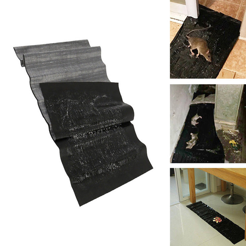 Sense Mouse Trap | Bowlift