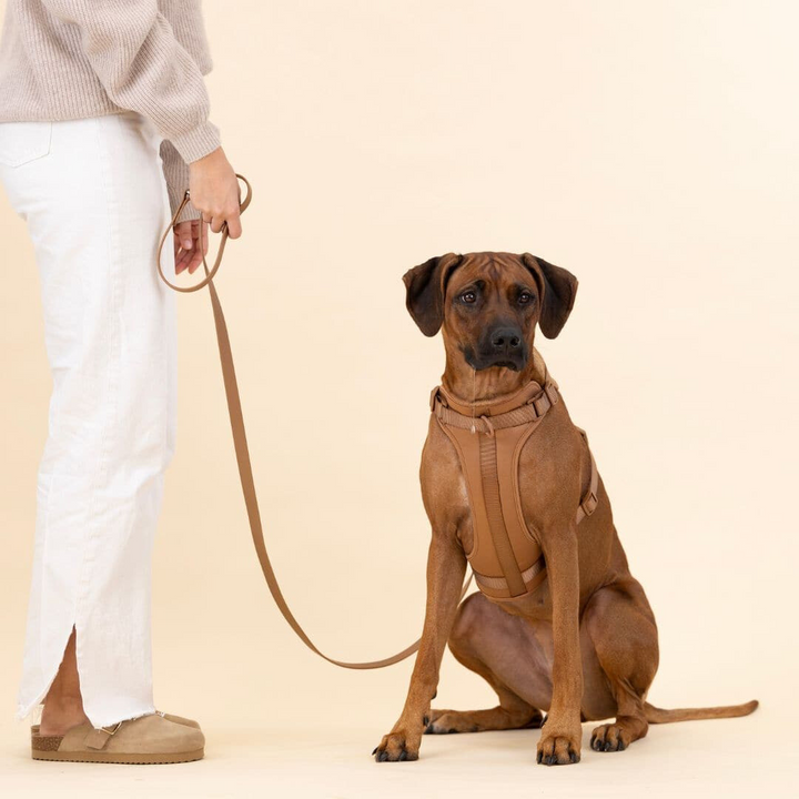 BowLift | ComfyPaws Dog Harness Walking Set with Leash and Poop Bag Holder