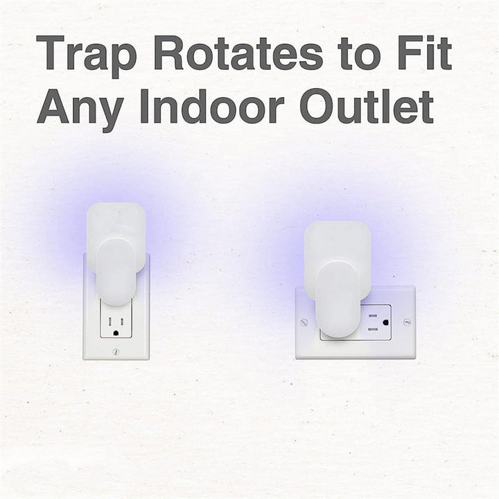 BowLift | Indoor Plug-in Mosquito Trap