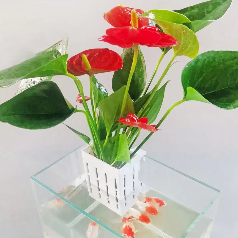 BowLift | Fish Tank Hydroponic Planting Basket
