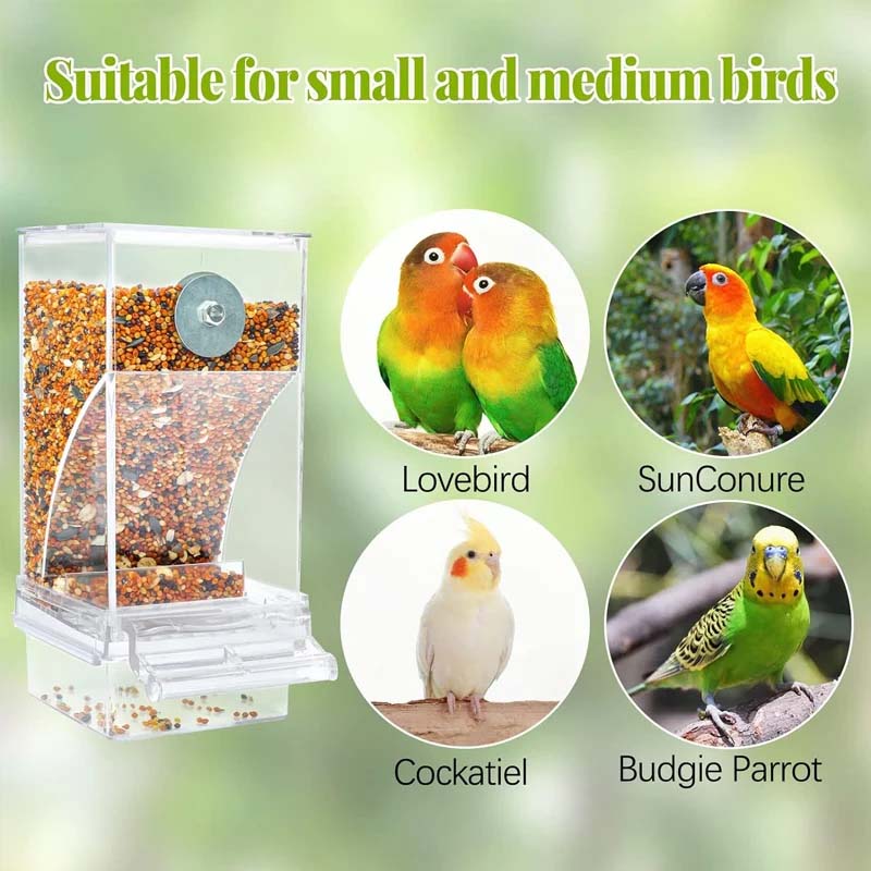 BowLift | Automatic transparent bird feeder without spills