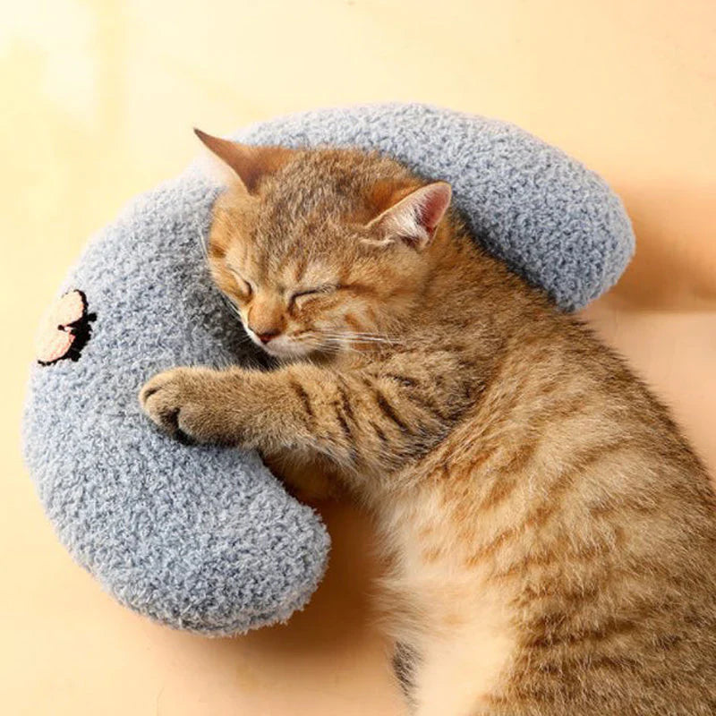 BowLift | Cat Beautiful cozy pillow