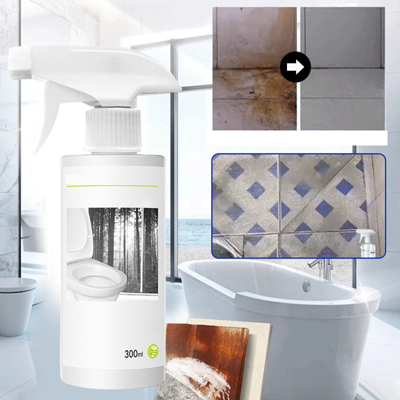 BowLift | Powerful Oxalic Acid Stain Toilet Glass Cleaner
