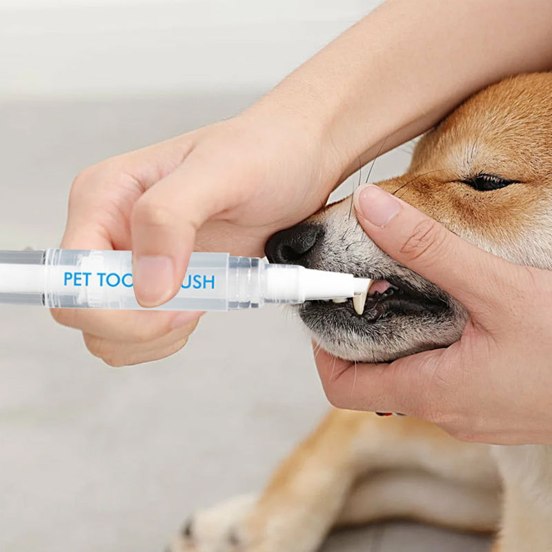New improved toothbrush pen for pets | Bowlift