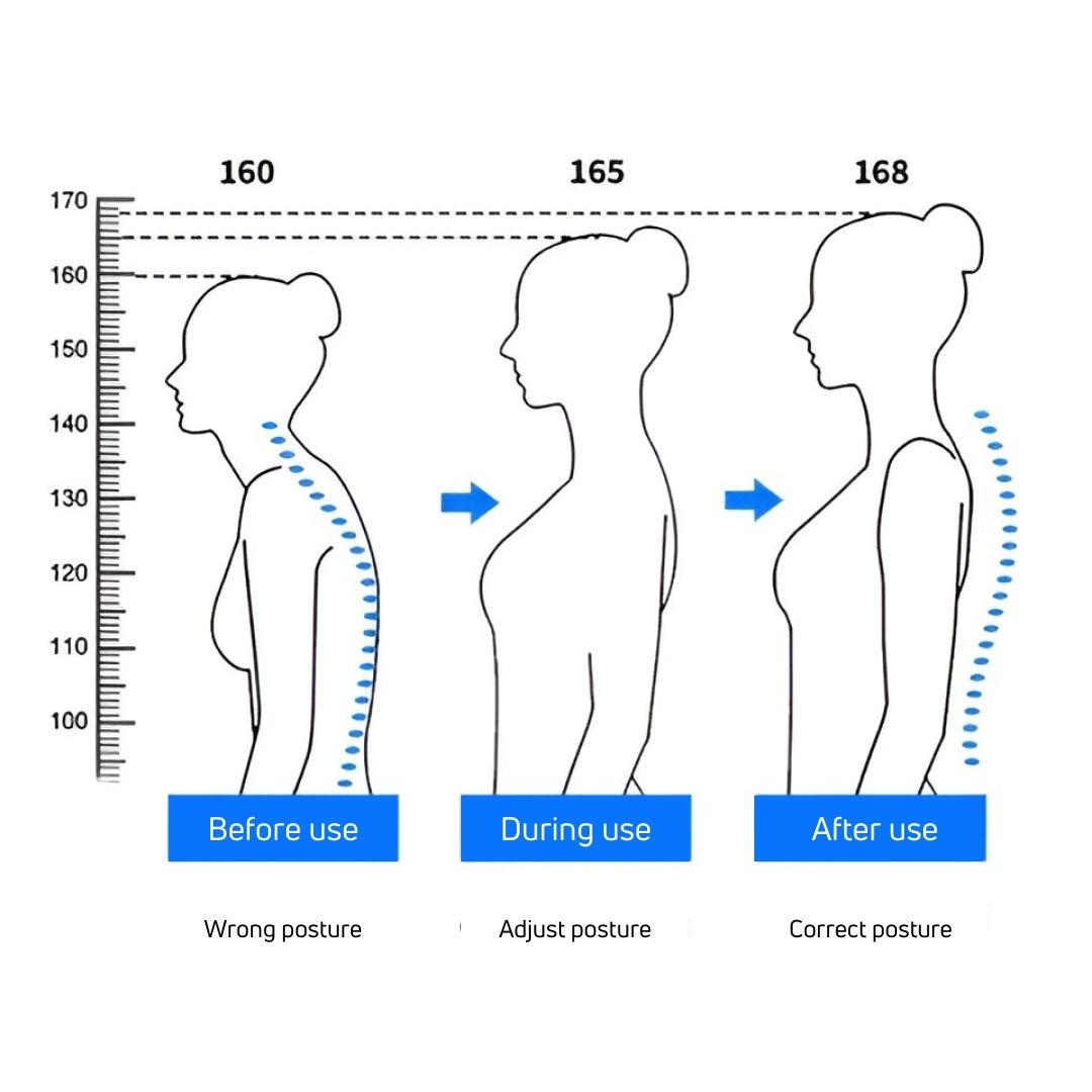 HealthPost 3-in-1 Back Posture Corrector | Adjustable Back Support for Office, Sports & Daily Life | Upper & Lower Back | Bowlift