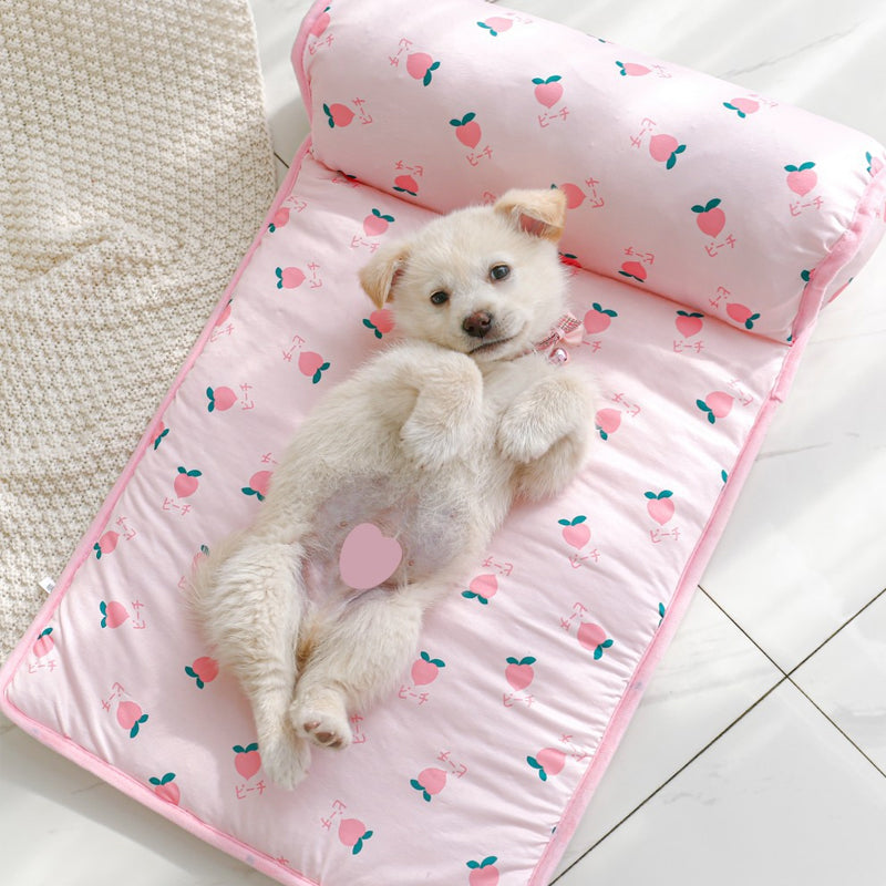 Pet Summer Cool Bed Ice Silk Cooling Mat for Dogs & Cats | Bowlift