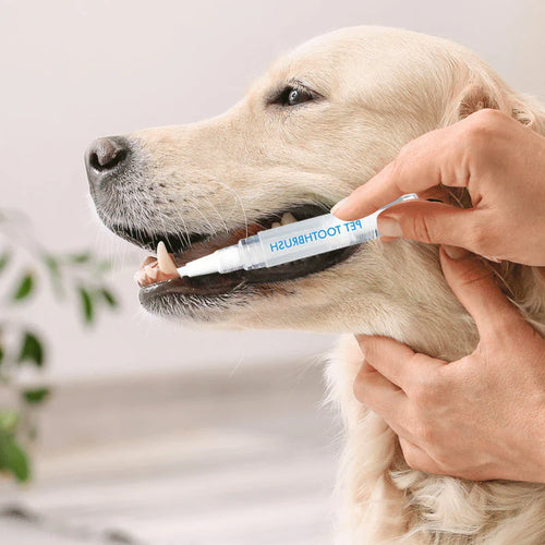 ChewClean Pet Toothbrush Stick Bowlift