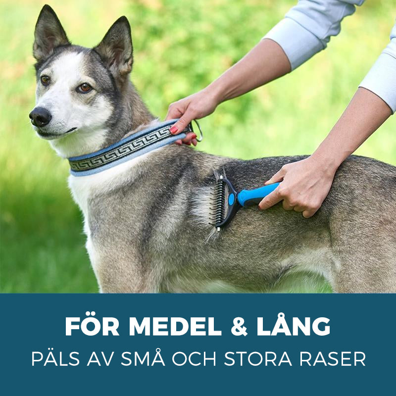 BowLift | Pet Care Brush