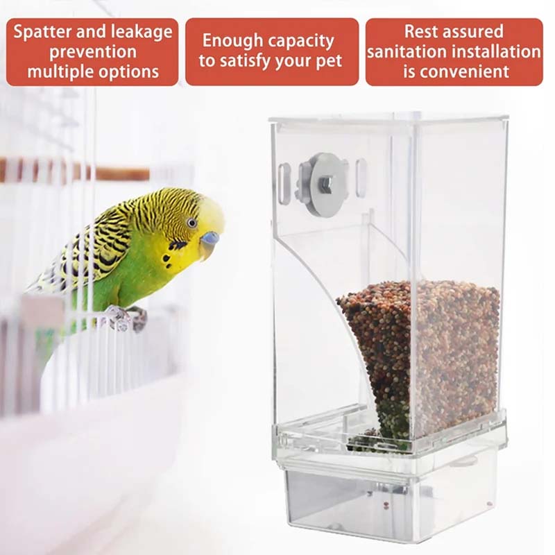 BowLift | Automatic transparent bird feeder without spills
