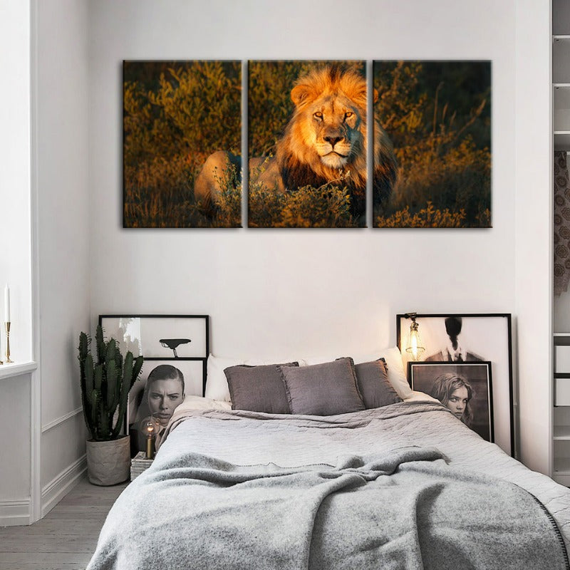 Divine Sunset Lion-Canvas Wall Art Painting 3 Pieces | Bowlift