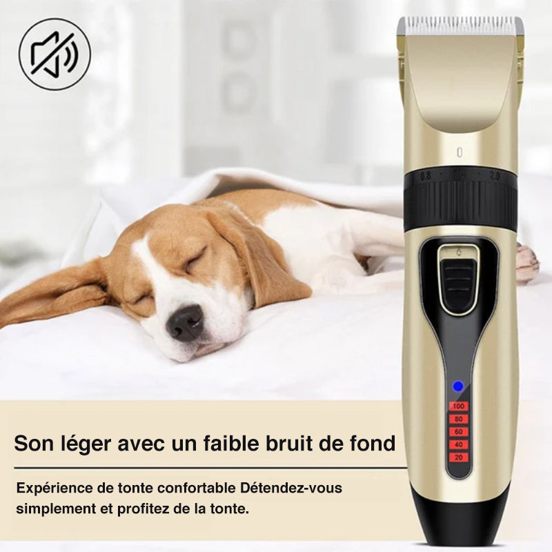 BowLift | Professional pet grooming kit
