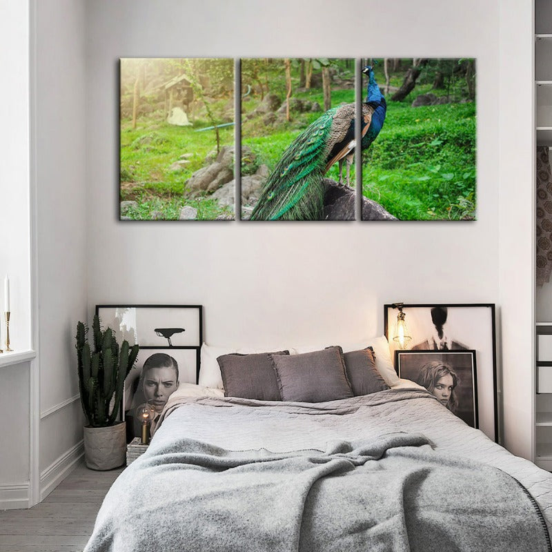 Dignified Sunlit Peacock-Canvas Wall Art Painting 3 Pieces | Bowlift