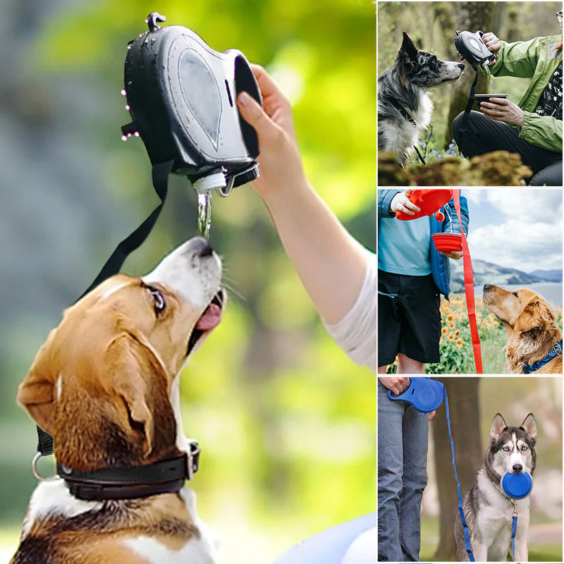 BowLift | 4 in 1 Dog Retractable Leash