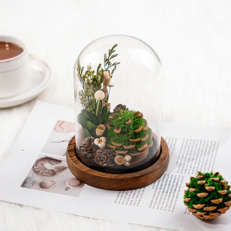 BowLift | EternaBloom Night Light