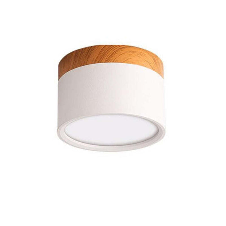 Morandi Style Modern LED Ceiling Lamp - LumiModo | Bowlift