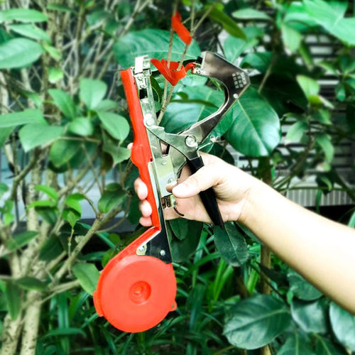 BowLift | Vegetable & Fruit Strapper