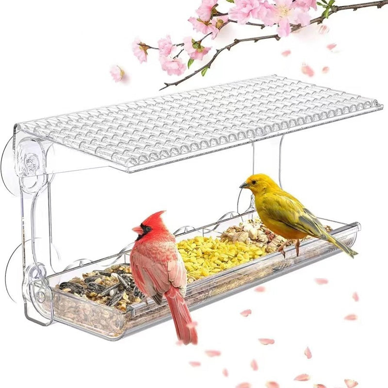 BowLift | Outdoor Clear-Window-Suction-Cup-Birdhouse