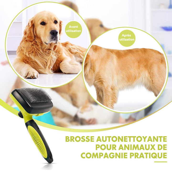 Ciaovie Brush for Pet Cleaning | Bowlift