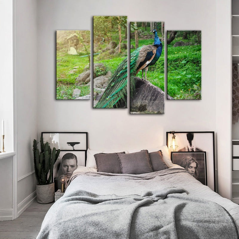 4 Piece Dignified Sunlit Peacock - Canvas Wall Art Painting | Bowlift