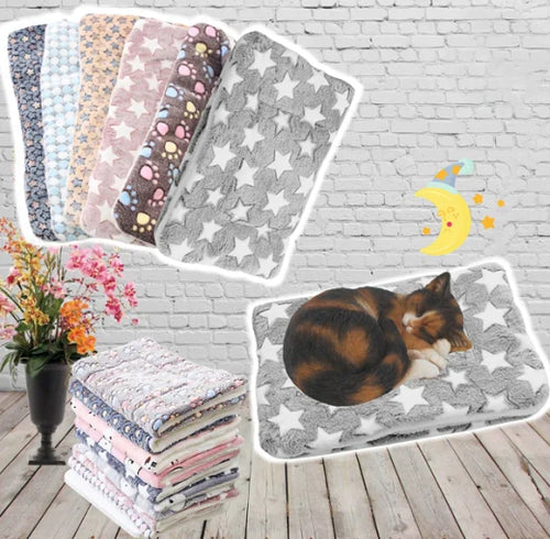 BowLift | Cozy heat cushion for cats