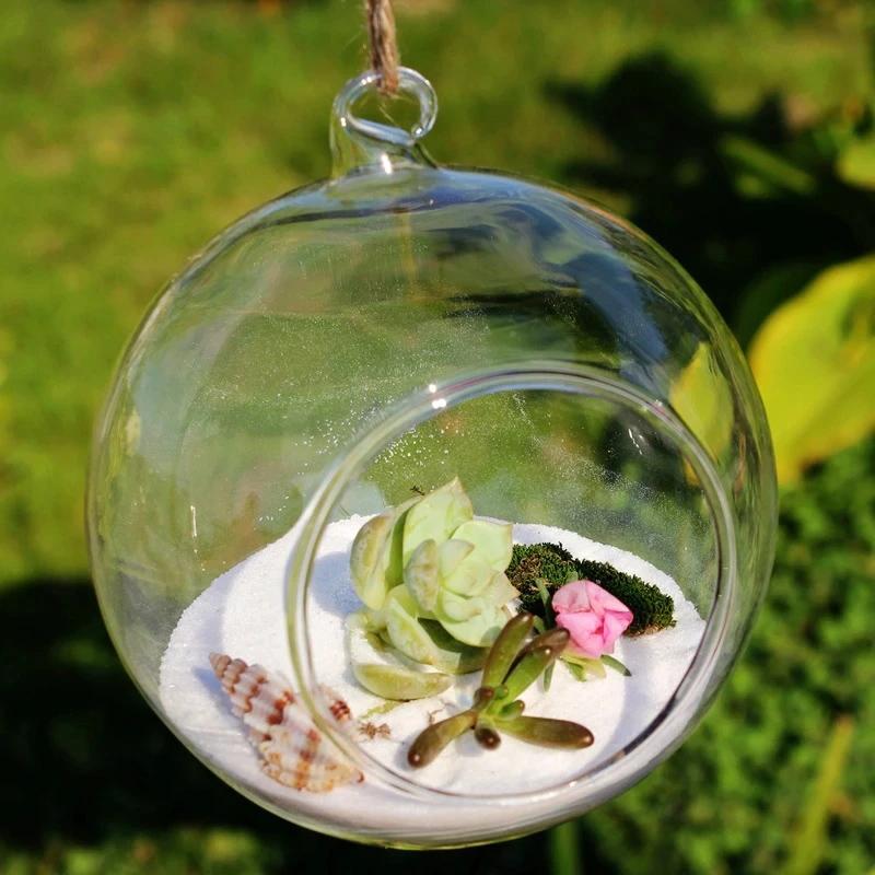 BowLift | Hanging Glass Herb Pots