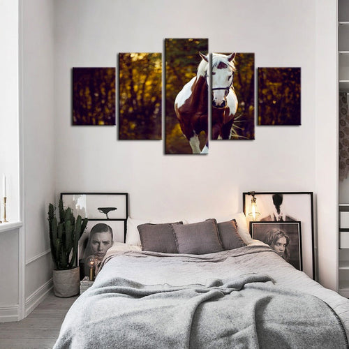 5 Piece Courtly Overo Horse - Canvas Wall Art Painting | Bowlift