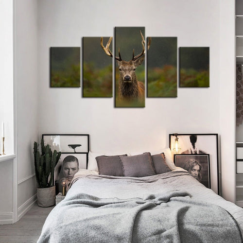 5 Piece Curios Deer Amongst Ferns - Canvas Wall Art Painting | Bowlift