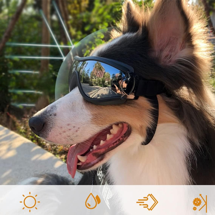 BowLift | Outdoor Protection Glasses for Dogs