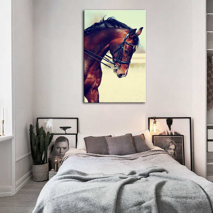 Graceful Haltered Horse - Canvas Wall Art Painting | Bowlift