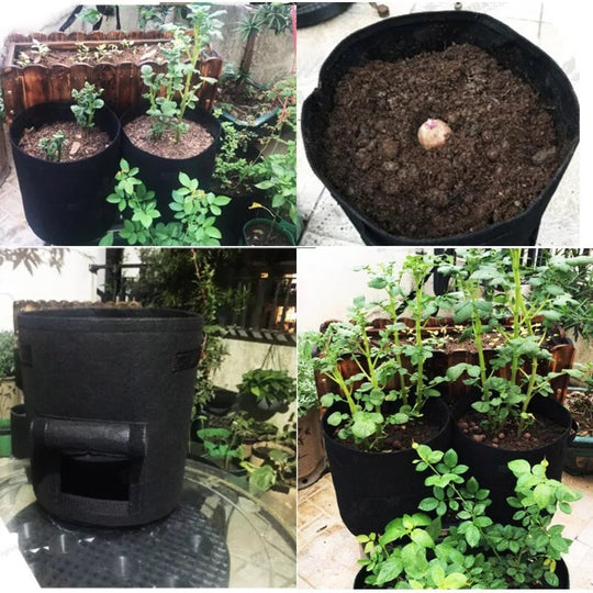 Breathable Magic Plant Bag — Awaken vibrant roots and harvest freedom with every grip! | Bowlift