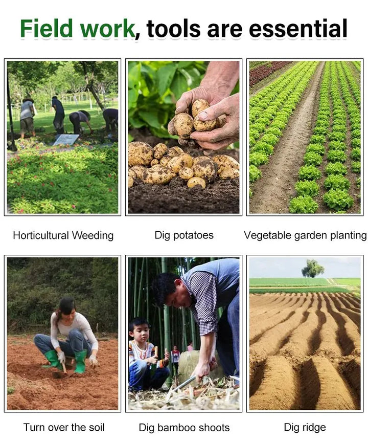 BowLift | WeedMaster™ - Your Ultimate Weeding Tool