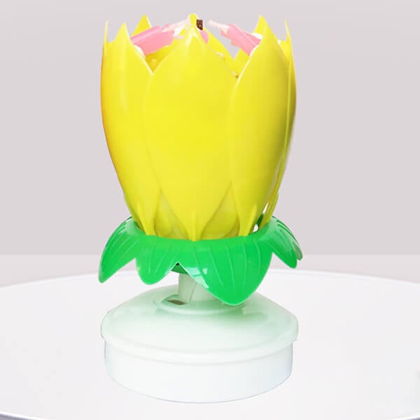 BowLift | 🎂Magic Flower Birthday Candle