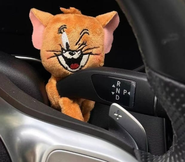 Car Decoration Dog Bowlift