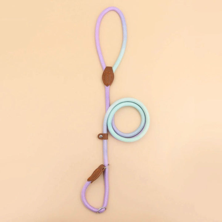BowLift | Colorful Dog Leash for Stylish Walks